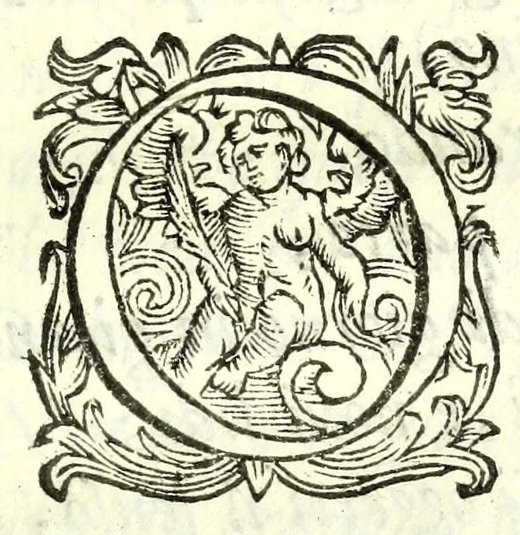 An illustration from Elisa : favola maritima, 1627, leaf 227