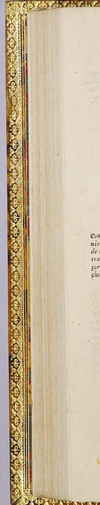 An illustration from El Marañon, y Amazonas. : Historia de los descubrimientos, entradas, y reduccion de naciones. Trabajos malogrados de algunos conquistadores, y dichosos de otros, assi temporales, como espirituales, en las dilatadas montañas, y mayores rios de la America., 1684, leaf 232