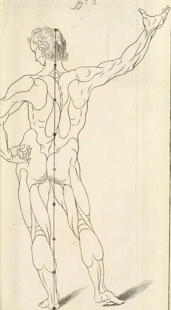 An illustration from El museo pictorico, y escala óptica ..., 1795, leaf 774