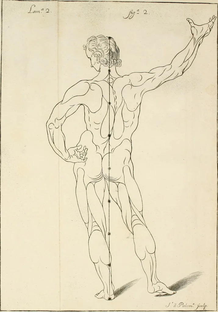 An illustration from El museo pictorico, y escala óptica ..., 1795, leaf 775