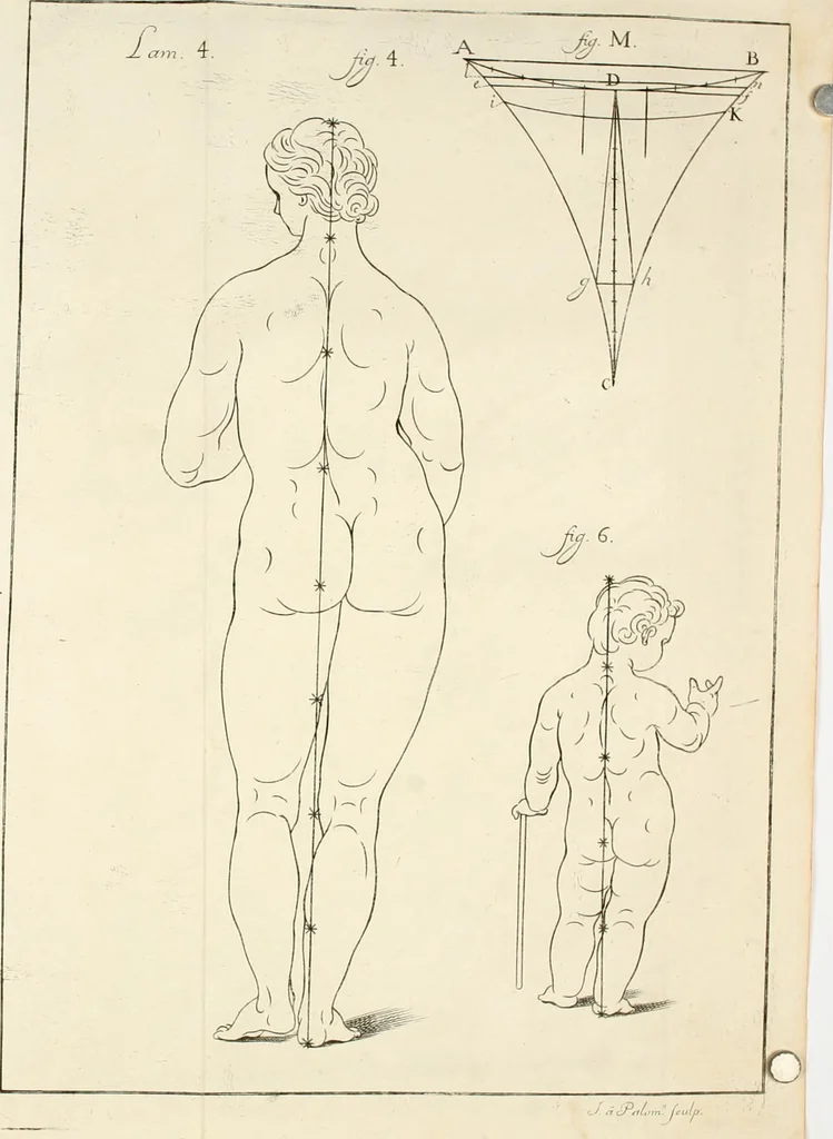 An illustration from El museo pictorico, y escala óptica ..., 1795, leaf 779