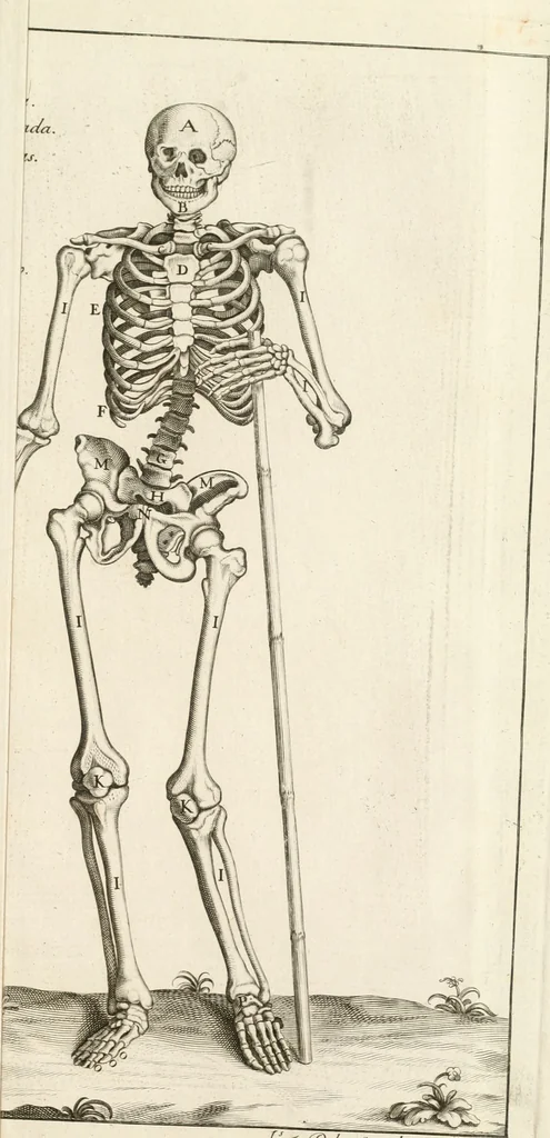 An illustration from El museo pictorico, y escala óptica ..., 1795, leaf 780