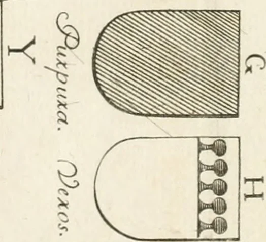 An illustration from El museo pictorico, y escala óptica ..., 1795, leaf 794