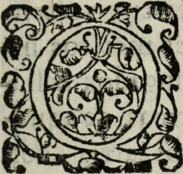 An illustration from El nuevo olimpo : representacion real, y festiva mascara que a los felicissimos años de la Reyna Nuestra Señora celebraron, la atencion amante del Rey Nuestro Señor, y el obsequio, y cariño de la Serenissima Señora Infante, damas, y meninas del Real Palacio, 1649, leaf 14