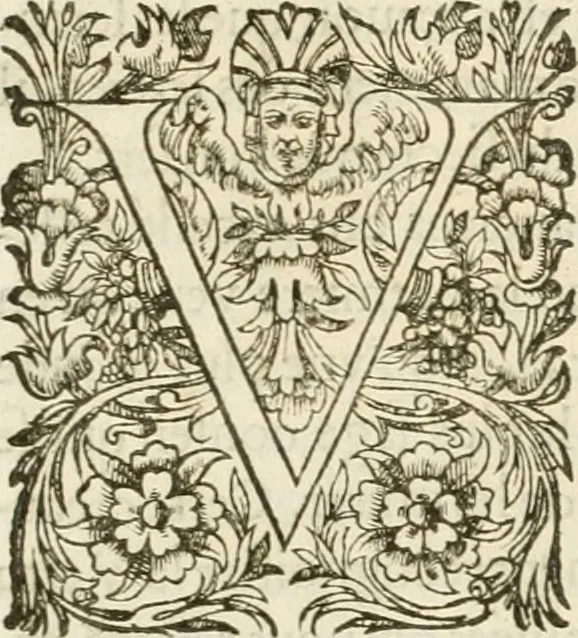 An illustration from Eloges et discours sur la triomphante reception du roy en sa ville de Paris, apres la reduction de la Rochelle : accompagnez des figures, tant des arcs de triomphe que des autres preparatifs, 1629, leaf 10