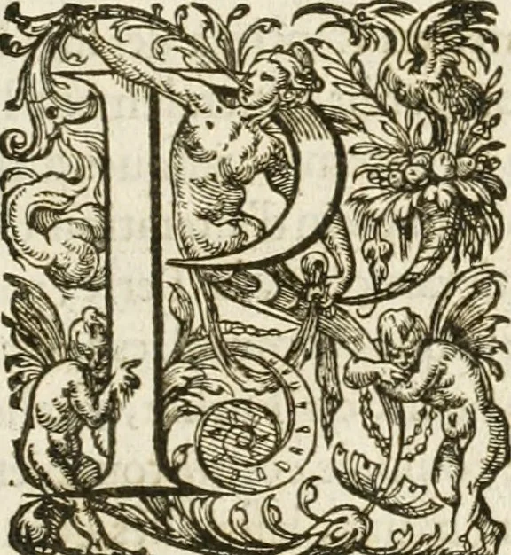 An illustration from Eloges et discours sur la triomphante reception du roy en sa ville de Paris, apres la reduction de la Rochelle : accompagnez des figures, tant des arcs de triomphe que des autres preparatifs, 1629, leaf 108
