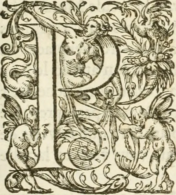 An illustration from Eloges et discours sur la triomphante reception du roy en sa ville de Paris, apres la reduction de la Rochelle : accompagnez des figures, tant des arcs de triomphe que des autres preparatifs, 1629, leaf 14
