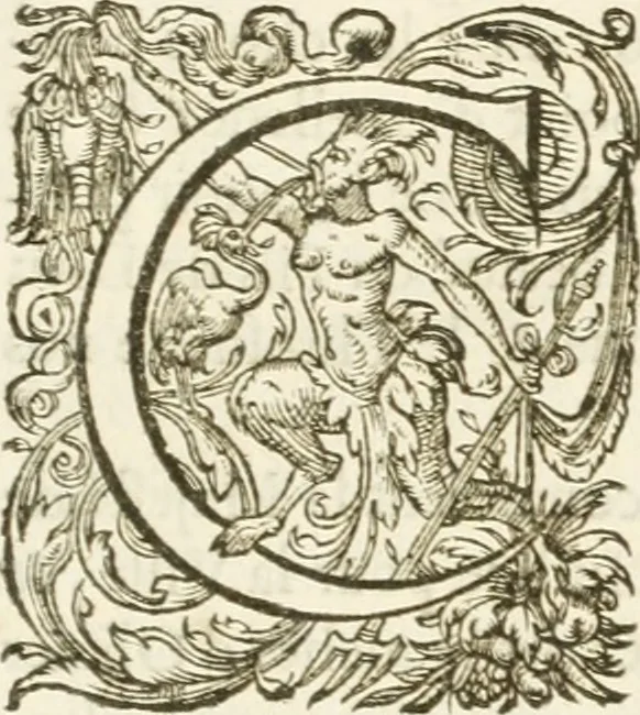 An illustration from Eloges et discours sur la triomphante reception du roy en sa ville de Paris, apres la reduction de la Rochelle : accompagnez des figures, tant des arcs de triomphe que des autres preparatifs, 1629, leaf 212