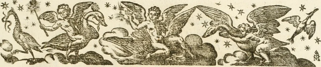 An illustration from Eloges et discours sur la triomphante reception du roy en sa ville de Paris, apres la reduction de la Rochelle : accompagnez des figures, tant des arcs de triomphe que des autres preparatifs, 1629, leaf 216