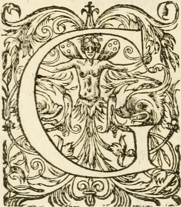 An illustration from Eloges et discours sur la triomphante reception du roy en sa ville de Paris, apres la reduction de la Rochelle : accompagnez des figures, tant des arcs de triomphe que des autres preparatifs, 1629, leaf 220