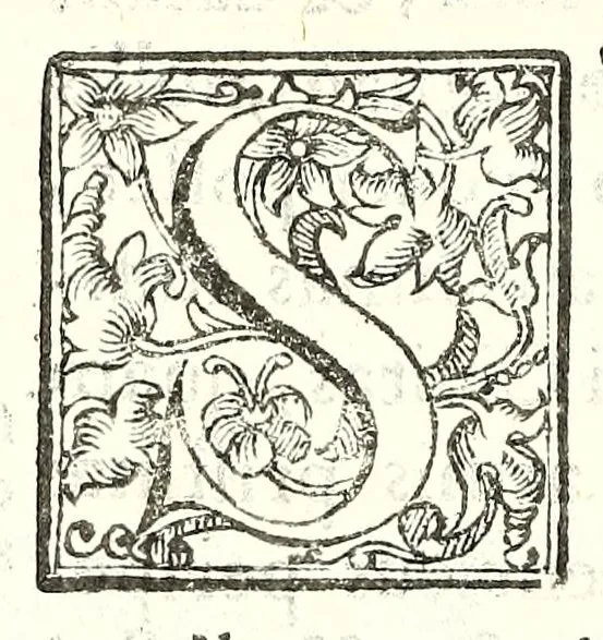 An illustration from Elogia abbatvm sacri Monasterij Casinensis : ad rum. patrem d. Simplicivm Caffarellvm, congregationis casinensis praesidem generalem, 1630, leaf 132