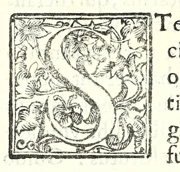 An illustration from Elogia abbatvm sacri Monasterij Casinensis : ad rum. patrem d. Simplicivm Caffarellvm, congregationis casinensis praesidem generalem, 1630, leaf 150