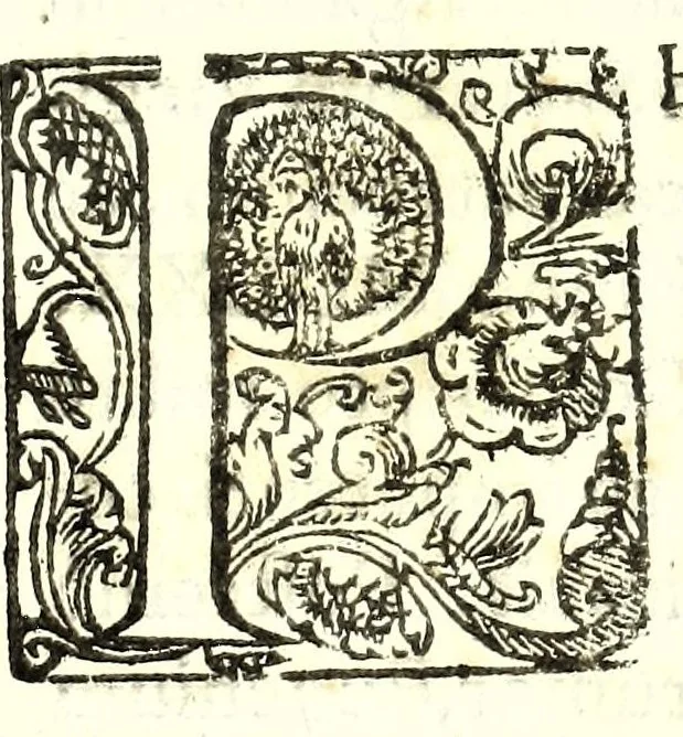 An illustration from Elogia abbatvm sacri Monasterij Casinensis : ad rum. patrem d. Simplicivm Caffarellvm, congregationis casinensis praesidem generalem, 1630, leaf 161