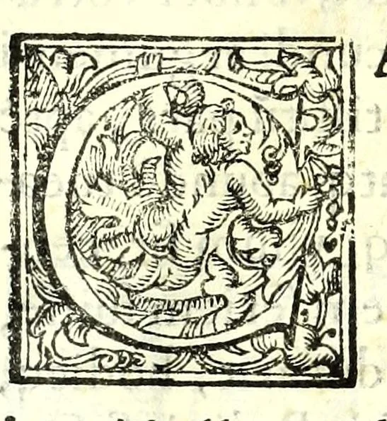 An illustration from Elogia abbatvm sacri Monasterij Casinensis : ad rum. patrem d. Simplicivm Caffarellvm, congregationis casinensis praesidem generalem, 1630, leaf 19