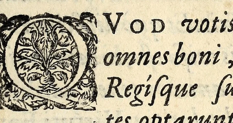 An illustration from Elogiæ æternae memoriæ Ludouici XIII, Francorum et Navarræ regis Christianissimi iusti, pij, felicis perduellium domitoris inuictissimi, Franciæ pacatoris clementissimi, religionis auitæ vindicis acerrimi, pristinæ maiestatis Franciæ assertoris vnici, musarum Herculis fortiss ..., 1629, leaf 27