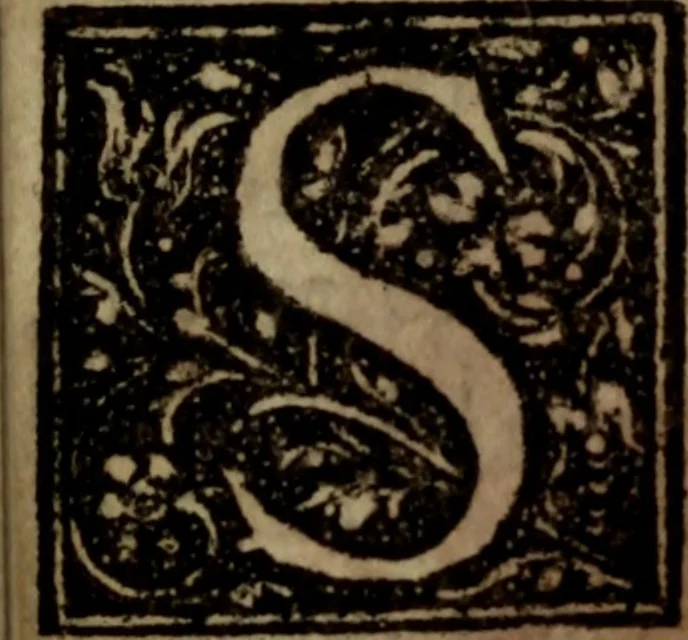 An illustration from El peregrino en su patria, 1604, leaf 28