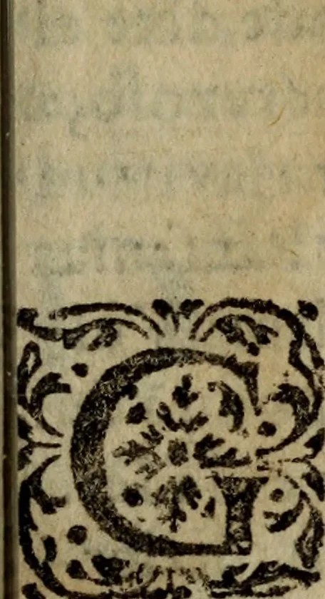 An illustration from El peregrino en su patria, 1604, leaf 432