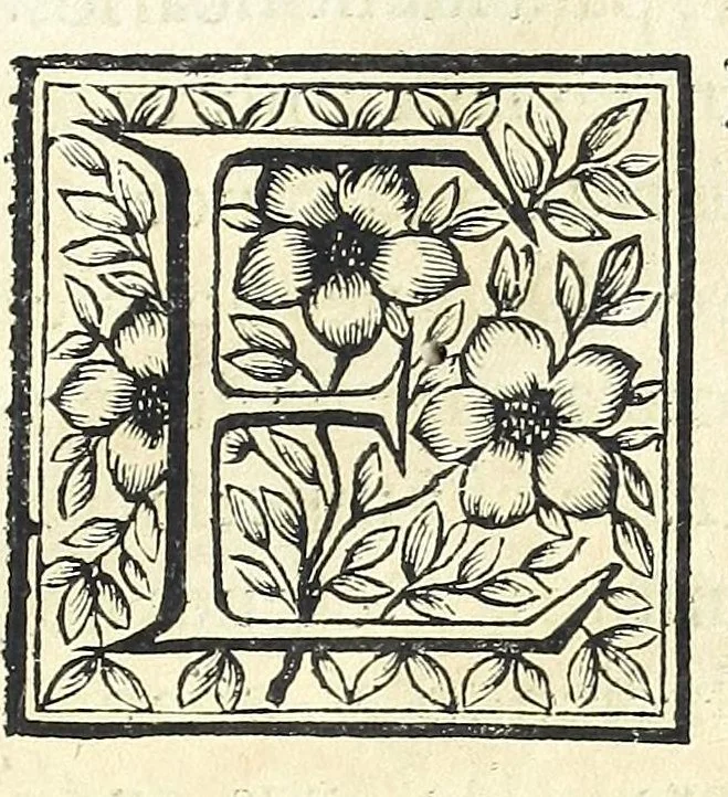 An illustration from El Sol del Nuevo Mundo : ideado y compuesto en las esclarecidas operaciones del bienaventurado Toribio Arzobispo de Lima, 1683, leaf 13