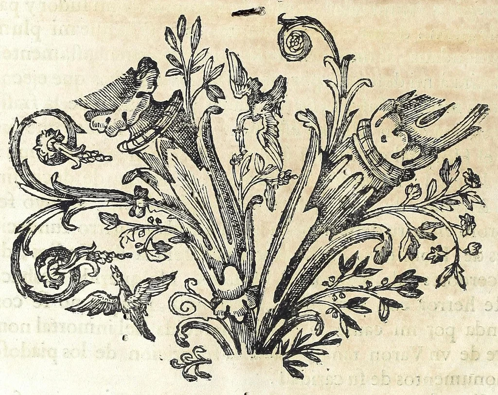An illustration from El Sol del Nuevo Mundo : ideado y compuesto en las esclarecidas operaciones del bienaventurado Toribio Arzobispo de Lima, 1683, leaf 20