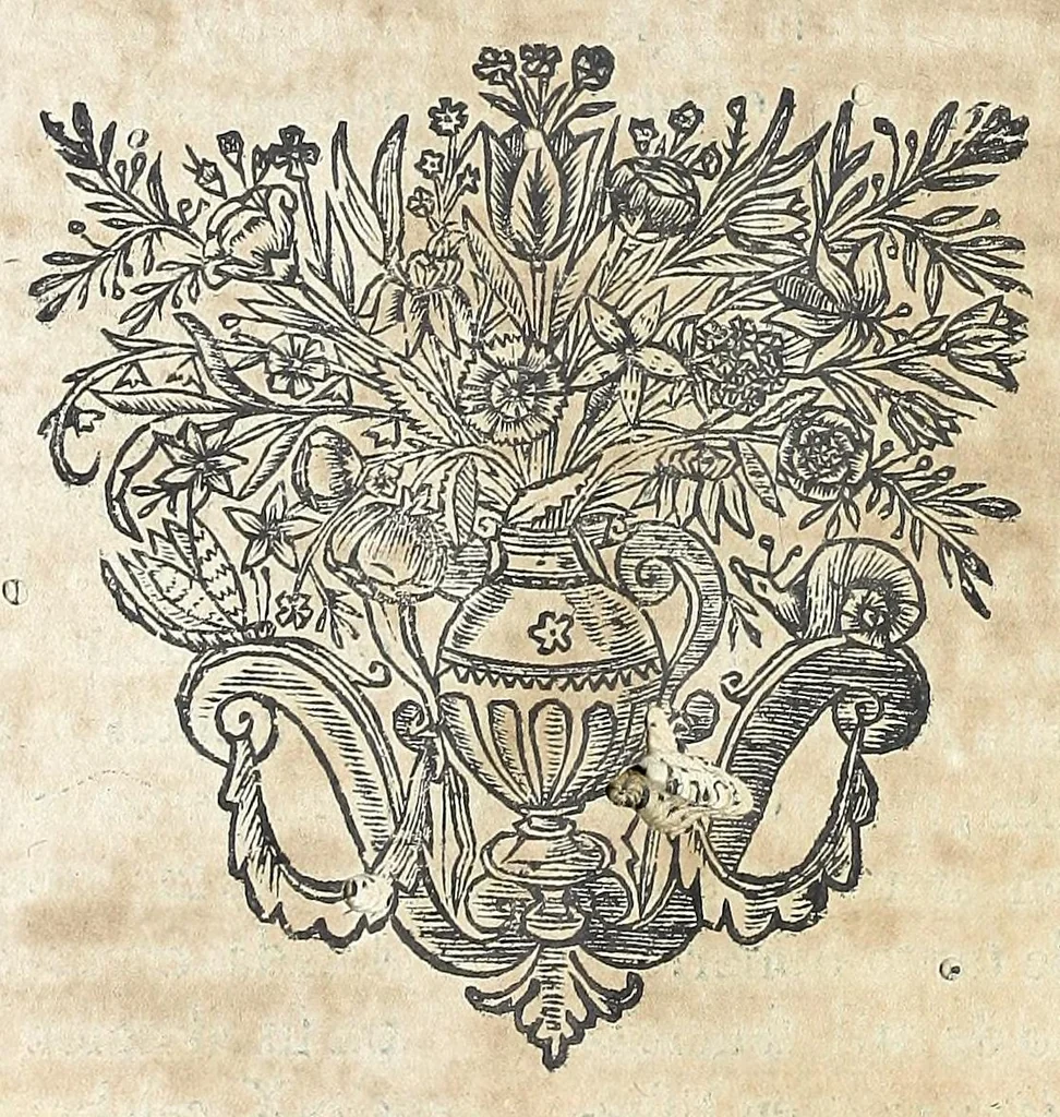 An illustration from El Sol del Nuevo Mundo : ideado y compuesto en las esclarecidas operaciones del bienaventurado Toribio Arzobispo de Lima, 1683, leaf 478