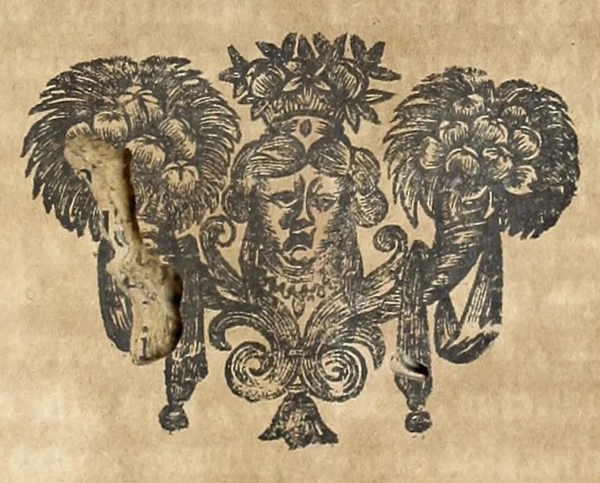 An illustration from El Sol del Nuevo Mundo : ideado y compuesto en las esclarecidas operaciones del bienaventurado Toribio Arzobispo de Lima, 1683, leaf 551