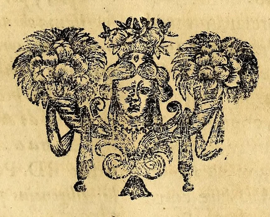 An illustration from El Sol del Nuevo Mundo : ideado y compuesto en las esclarecidas operaciones del bienaventurado Toribio Arzobispo de Lima, 1683, leaf 501