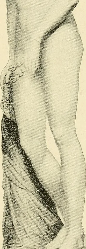 An illustration from Emancipation and the freed in American sculpture ; a study in interpretation, 1916, leaf 54