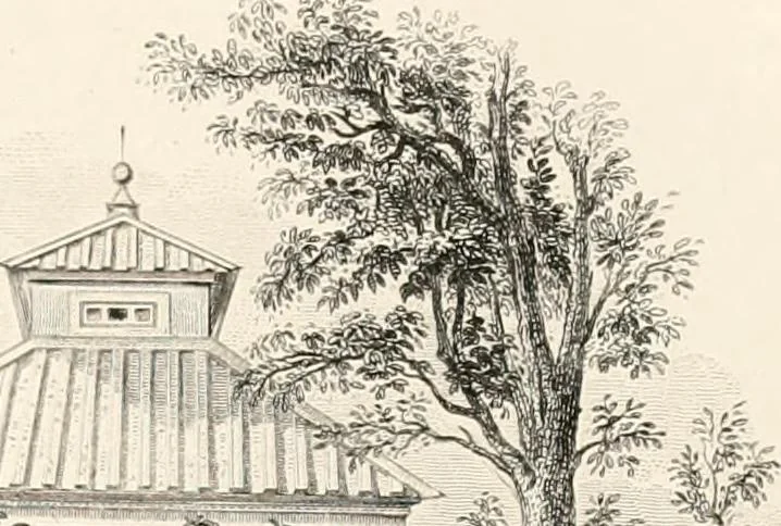 An illustration from Emanuel Swedenborg : his life and writings, 1868, leaf 535
