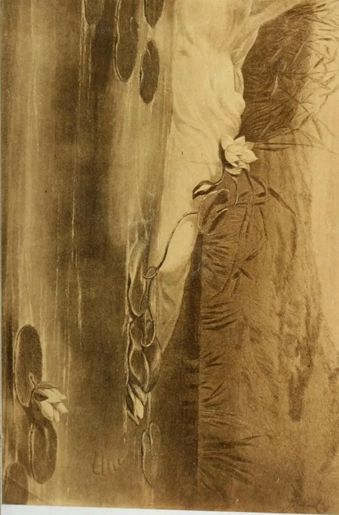 An illustration from Emanuel Swedenborg: his life and writings, 1867, leaf 512