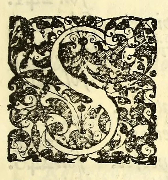 An illustration from Embaixada que fes o excellentissimo senhor conde de Villar-Maior (hoje marques de Alegrete) dos conselhos de estado, & guerra de el rei N. S. gentil homem da sua camera, & vedor da fasenda, &c. : Ao serenissimo principe Philippe Guilhelmo conde palatino do Rhim, eleitor do S. R. J. conduçam da rainha nossa senhora a estes reinos, festas, & applausos, come que foi celebrada sua felix vinda, & as augustas vodas de Suas Majestades escrita, e offerecida ao excellentissimo senhor conde de Villar Maior Fernaõ Telles da Silva do conselho de Sua Majestade, & deputado da junra dos tres estados do reino., 1694, leaf 311