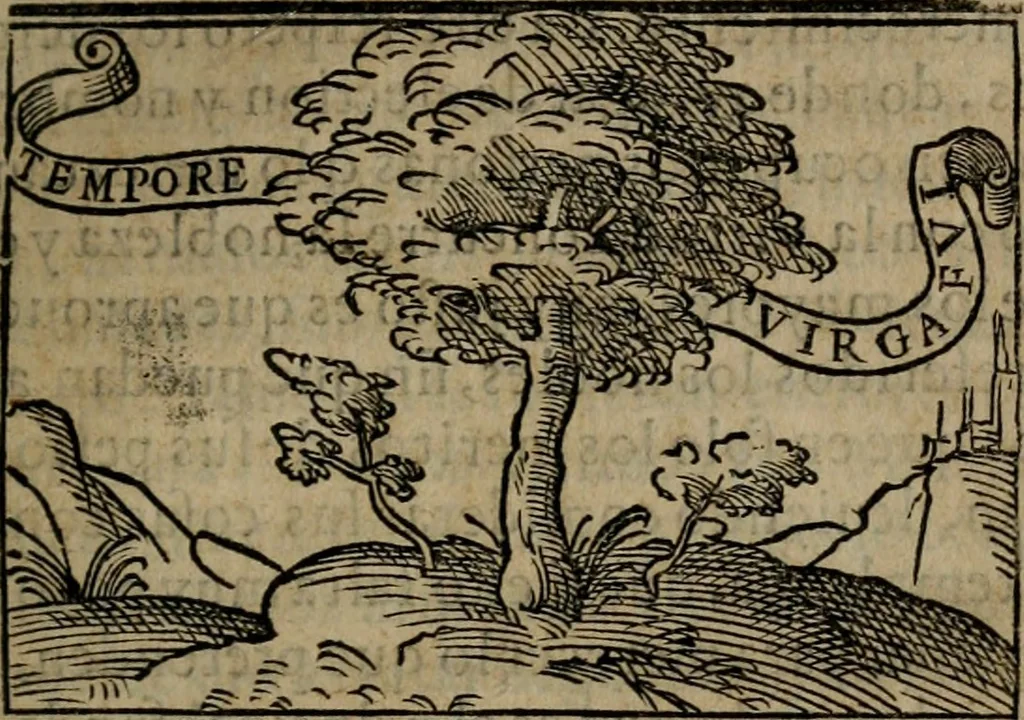 An illustration from Emblemas morales de don Ivan de Horozco y Couarruuias : dedicadas a la buena memoria del presidente Don Diego de Couarruuias y Leya su tio, 1589, leaf 314