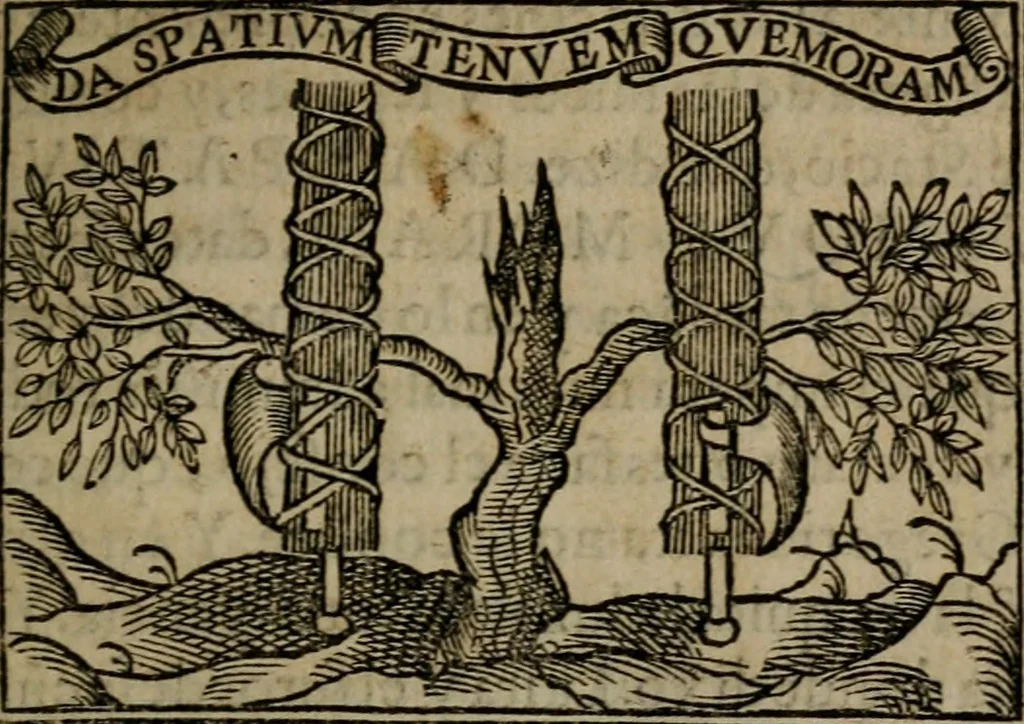 An illustration from Emblemas morales de don Ivan de Horozco y Couarruuias : dedicadas a la buena memoria del presidente Don Diego de Couarruuias y Leya su tio, 1589, leaf 330