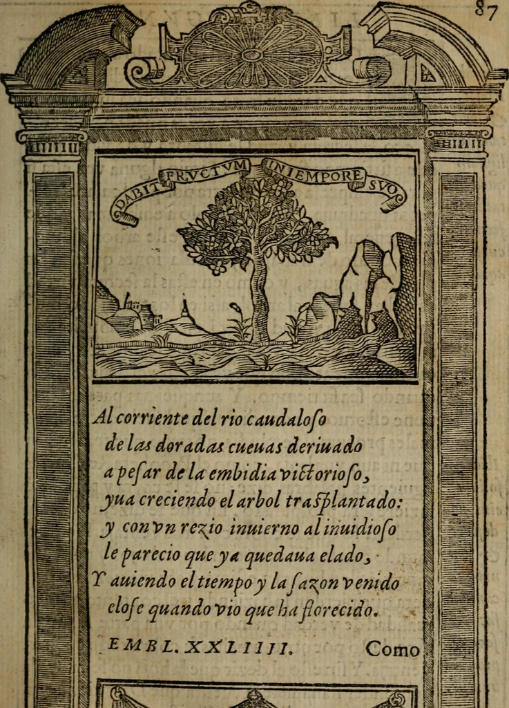 An illustration from Emblemas morales de don Ivan de Horozco y Couarruuias : dedicadas a la buena memoria del presidente Don Diego de Couarruuias y Leya su tio, 1589, leaf 378