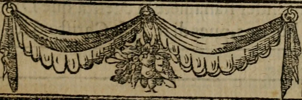 An illustration from Emblemas morales de don Ivan de Horozco y Couarruuias : dedicadas a la buena memoria del presidente Don Diego de Couarruuias y Leya su tio, 1589, leaf 378