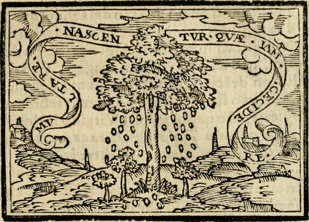 An illustration from Emblemas morales de Don Sebastian de Couarrubias Orozco, capellan del rey N.S. Maestrescuela, y canonigo de Cuenca, consultor del santo oficio, 1610, leaf 164