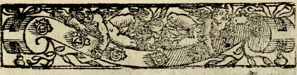 An illustration from Emblemas morales de Don Sebastian de Couarrubias Orozco, capellan del rey N.S. Maestrescuela, y canonigo de Cuenca, consultor del santo oficio, 1610, leaf 199