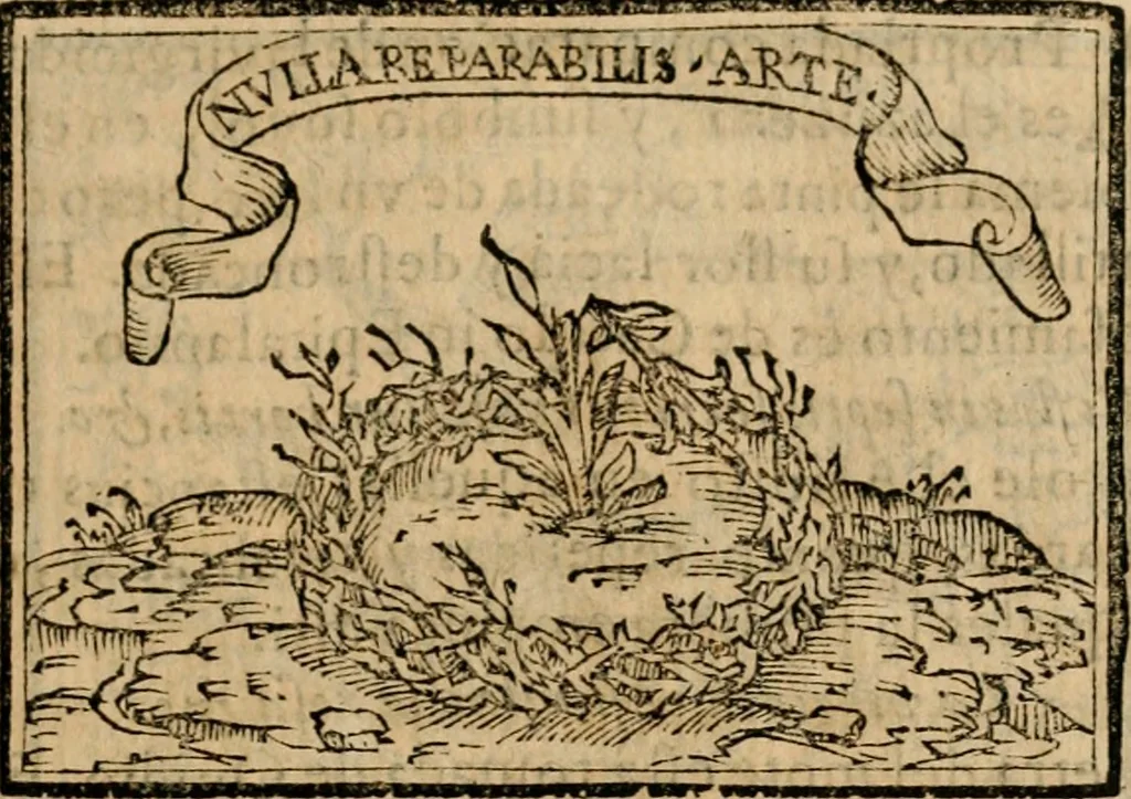 An illustration from Emblemas morales de Don Sebastian de Couarrubias Orozco, capellan del rey N.S. Maestrescuela, y canonigo de Cuenca, consultor del santo oficio, 1610, leaf 20