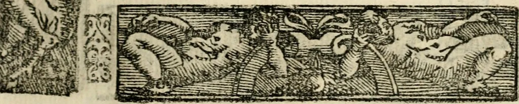 An illustration from Emblemas morales de Don Sebastian de Couarrubias Orozco, capellan del rey N.S. Maestrescuela, y canonigo de Cuenca, consultor del santo oficio, 1610, leaf 206