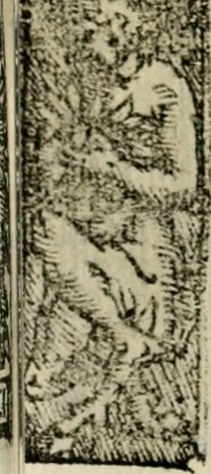 An illustration from Emblemas morales de Don Sebastian de Couarrubias Orozco, capellan del rey N.S. Maestrescuela, y canonigo de Cuenca, consultor del santo oficio, 1610, leaf 218