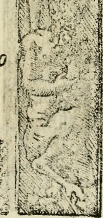 An illustration from Emblemas morales de Don Sebastian de Couarrubias Orozco, capellan del rey N.S. Maestrescuela, y canonigo de Cuenca, consultor del santo oficio, 1610, leaf 218