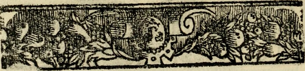 An illustration from Emblemas morales de Don Sebastian de Couarrubias Orozco, capellan del rey N.S. Maestrescuela, y canonigo de Cuenca, consultor del santo oficio, 1610, leaf 233