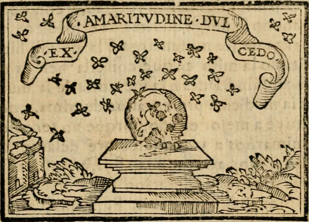 An illustration from Emblemas morales de Don Sebastian de Couarrubias Orozco, capellan del rey N.S. Maestrescuela, y canonigo de Cuenca, consultor del santo oficio, 1610, leaf 24