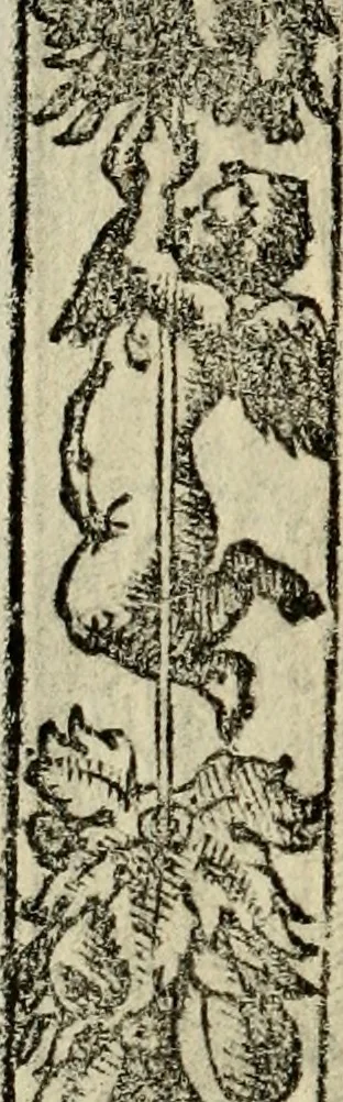 An illustration from Emblemas morales de Don Sebastian de Couarrubias Orozco, capellan del rey N.S. Maestrescuela, y canonigo de Cuenca, consultor del santo oficio, 1610, leaf 241