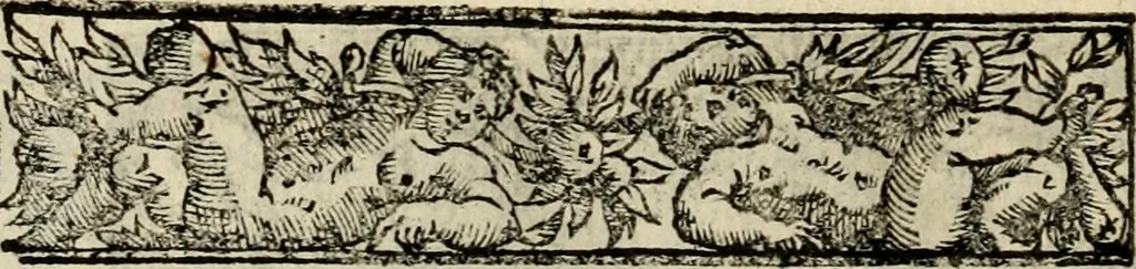 An illustration from Emblemas morales de Don Sebastian de Couarrubias Orozco, capellan del rey N.S. Maestrescuela, y canonigo de Cuenca, consultor del santo oficio, 1610, leaf 243