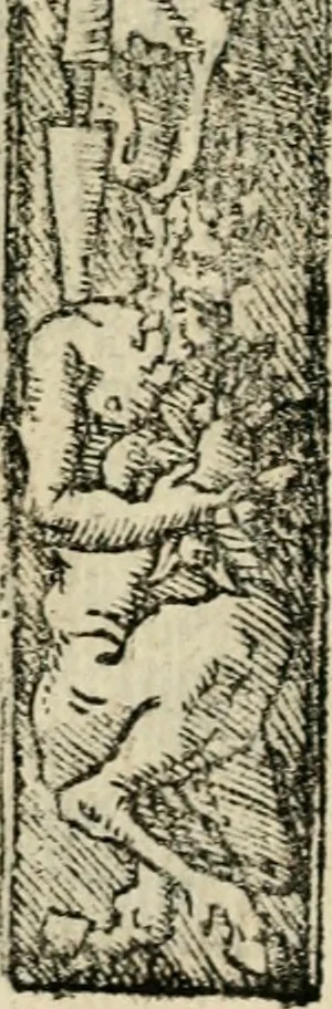 An illustration from Emblemas morales de Don Sebastian de Couarrubias Orozco, capellan del rey N.S. Maestrescuela, y canonigo de Cuenca, consultor del santo oficio, 1610, leaf 246