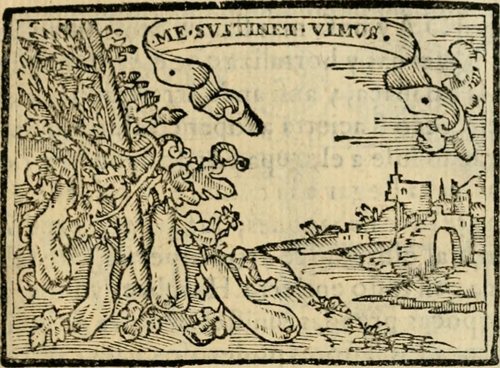 An illustration from Emblemas morales de Don Sebastian de Couarrubias Orozco, capellan del rey N.S. Maestrescuela, y canonigo de Cuenca, consultor del santo oficio, 1610, leaf 252