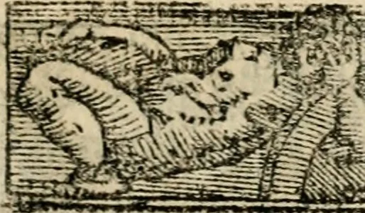 An illustration from Emblemas morales de Don Sebastian de Couarrubias Orozco, capellan del rey N.S. Maestrescuela, y canonigo de Cuenca, consultor del santo oficio, 1610, leaf 258