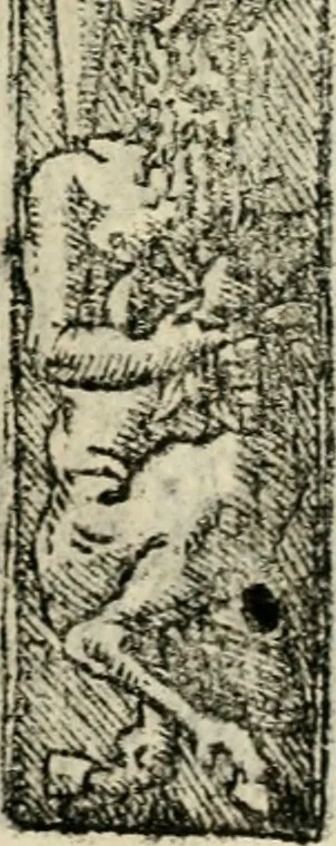 An illustration from Emblemas morales de Don Sebastian de Couarrubias Orozco, capellan del rey N.S. Maestrescuela, y canonigo de Cuenca, consultor del santo oficio, 1610, leaf 262
