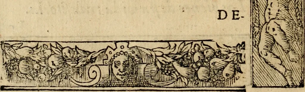 An illustration from Emblemas morales de Don Sebastian de Couarrubias Orozco, capellan del rey N.S. Maestrescuela, y canonigo de Cuenca, consultor del santo oficio, 1610, leaf 29