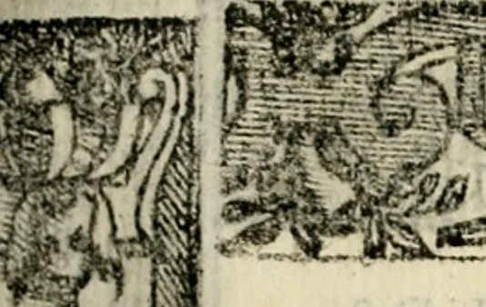 An illustration from Emblemas morales de Don Sebastian de Couarrubias Orozco, capellan del rey N.S. Maestrescuela, y canonigo de Cuenca, consultor del santo oficio, 1610, leaf 298